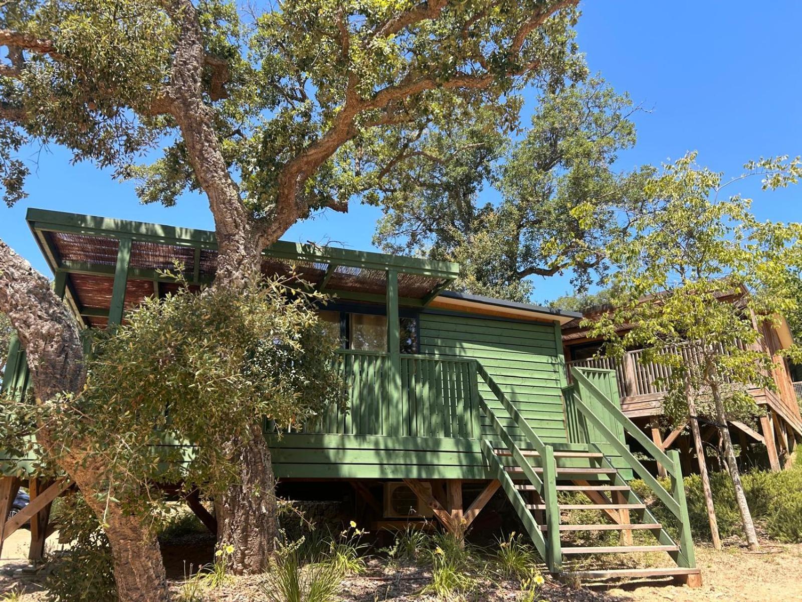 טוסה דה מאר Camping Cala Pola מראה חיצוני תמונה
